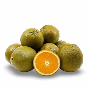 Fresh chocolate orange