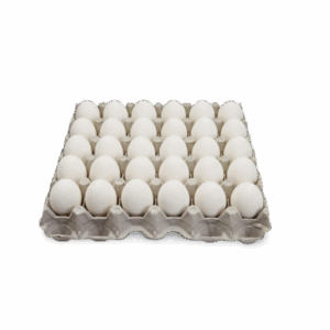 Morinville Colony Fresh Eggs – 30 Eggs (Large Tray)
