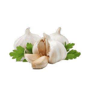 Garlic