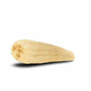 Natural Loofah
