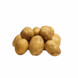 Potato