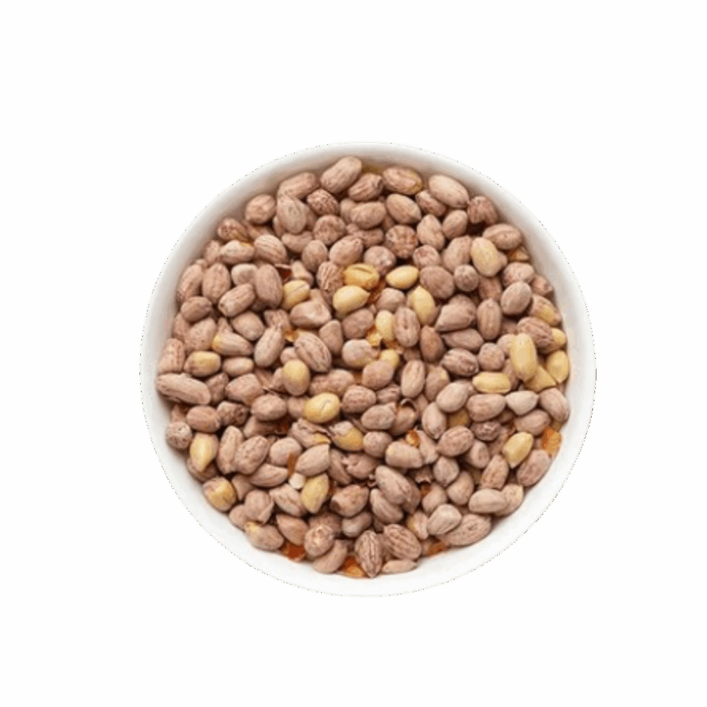 Roasted Salted Peanuts