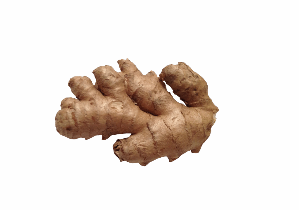 ginger