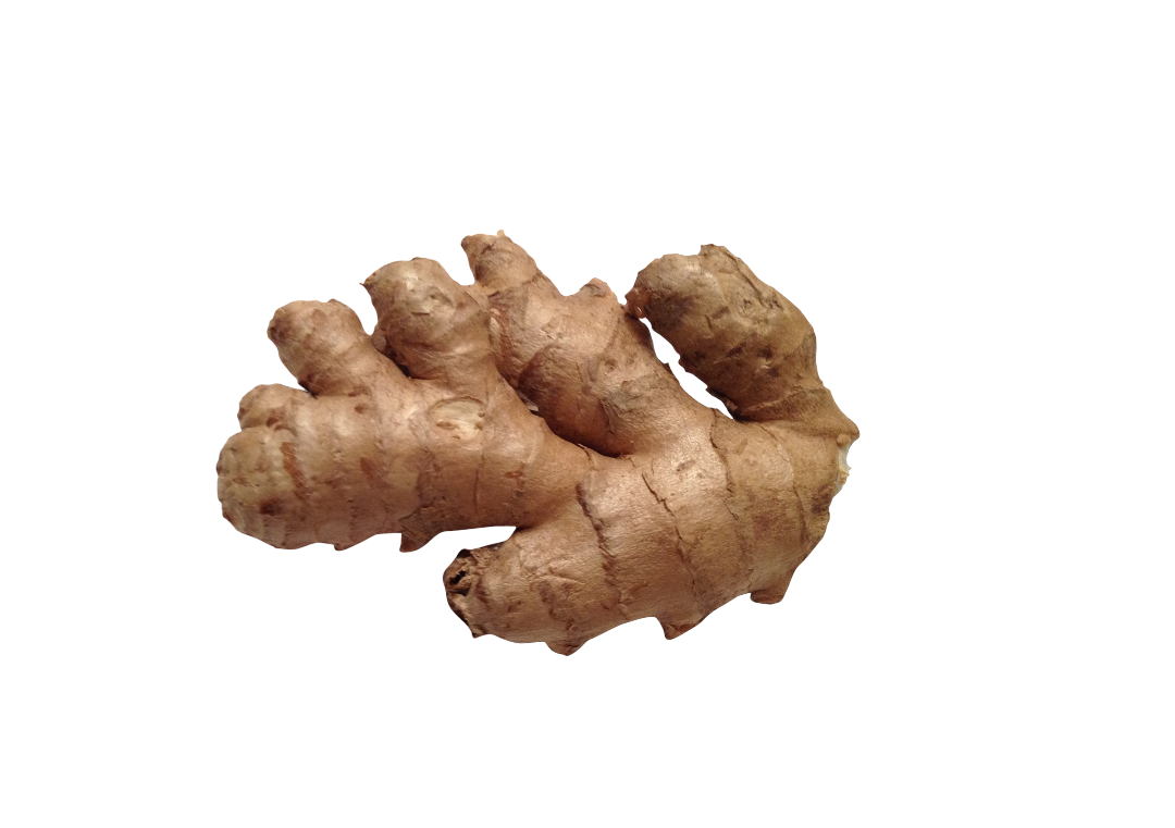 ginger