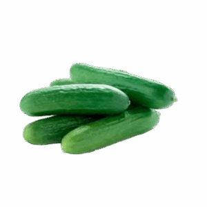 mini cucumber