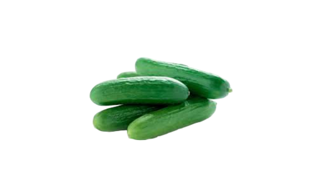 mini cucumber